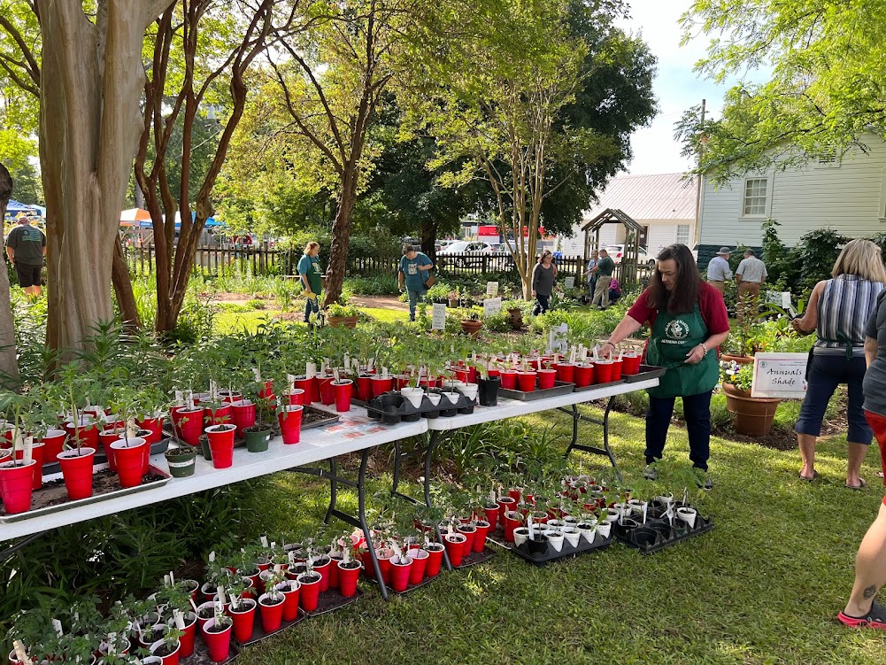 ACMGA Plant Sale